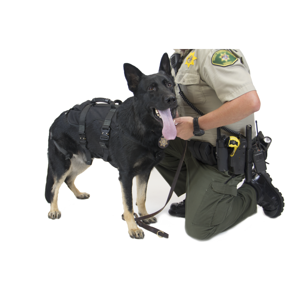 K9 unit shop harness