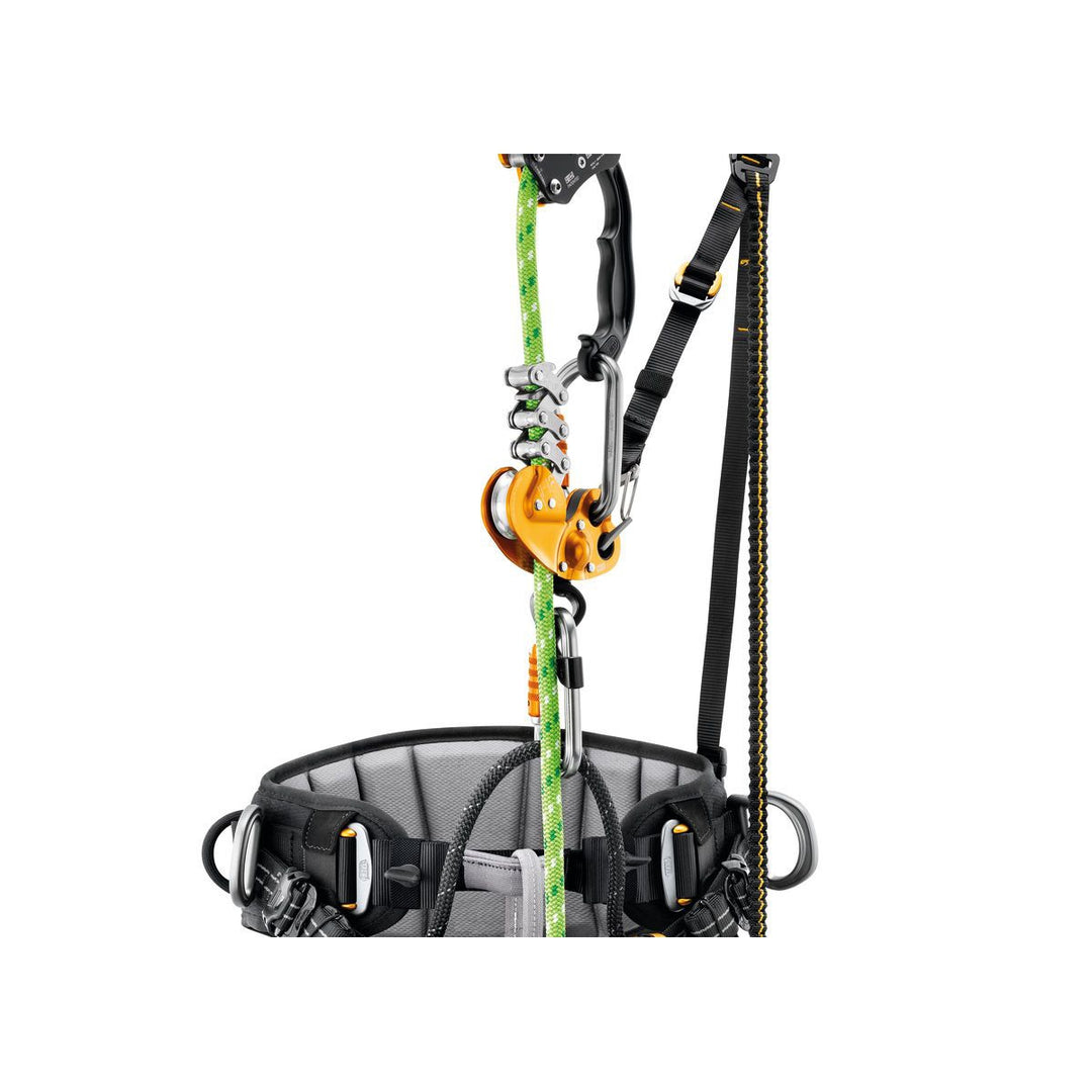 SEQUOIA SRT Seat Harness