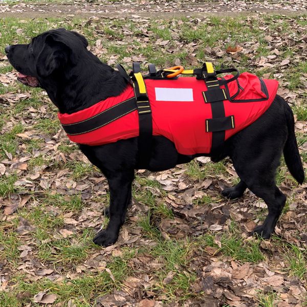 Nrs dog outlet pfd