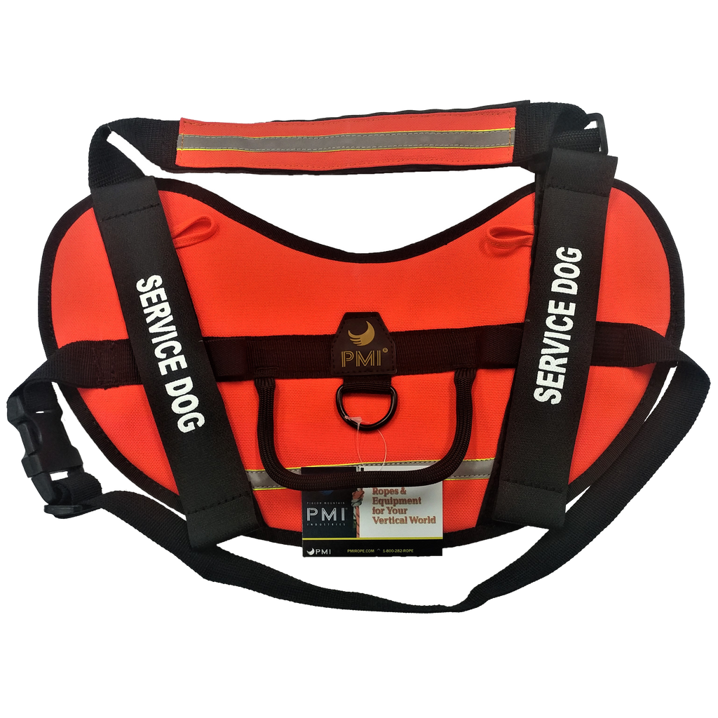 Rescue dog in training 2025 vest