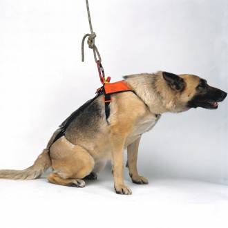 Smeus Dog Harness